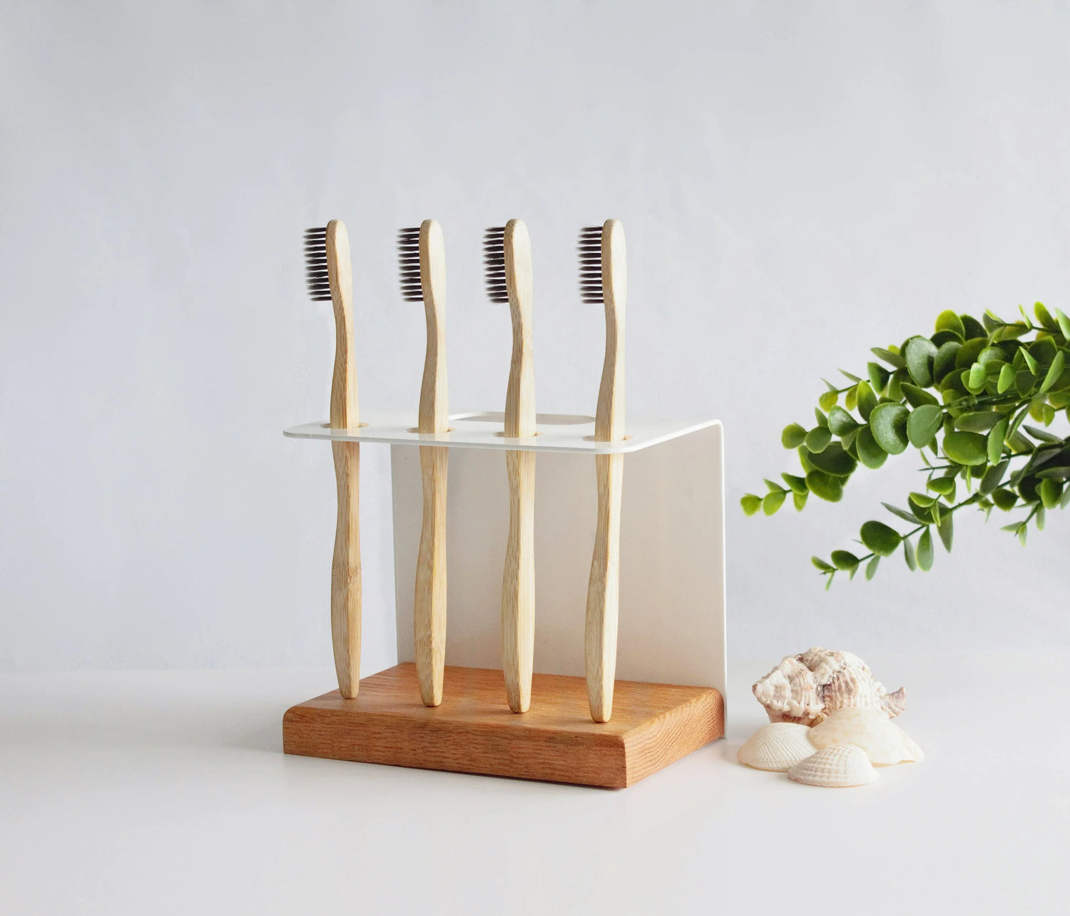 Toothbrush holders